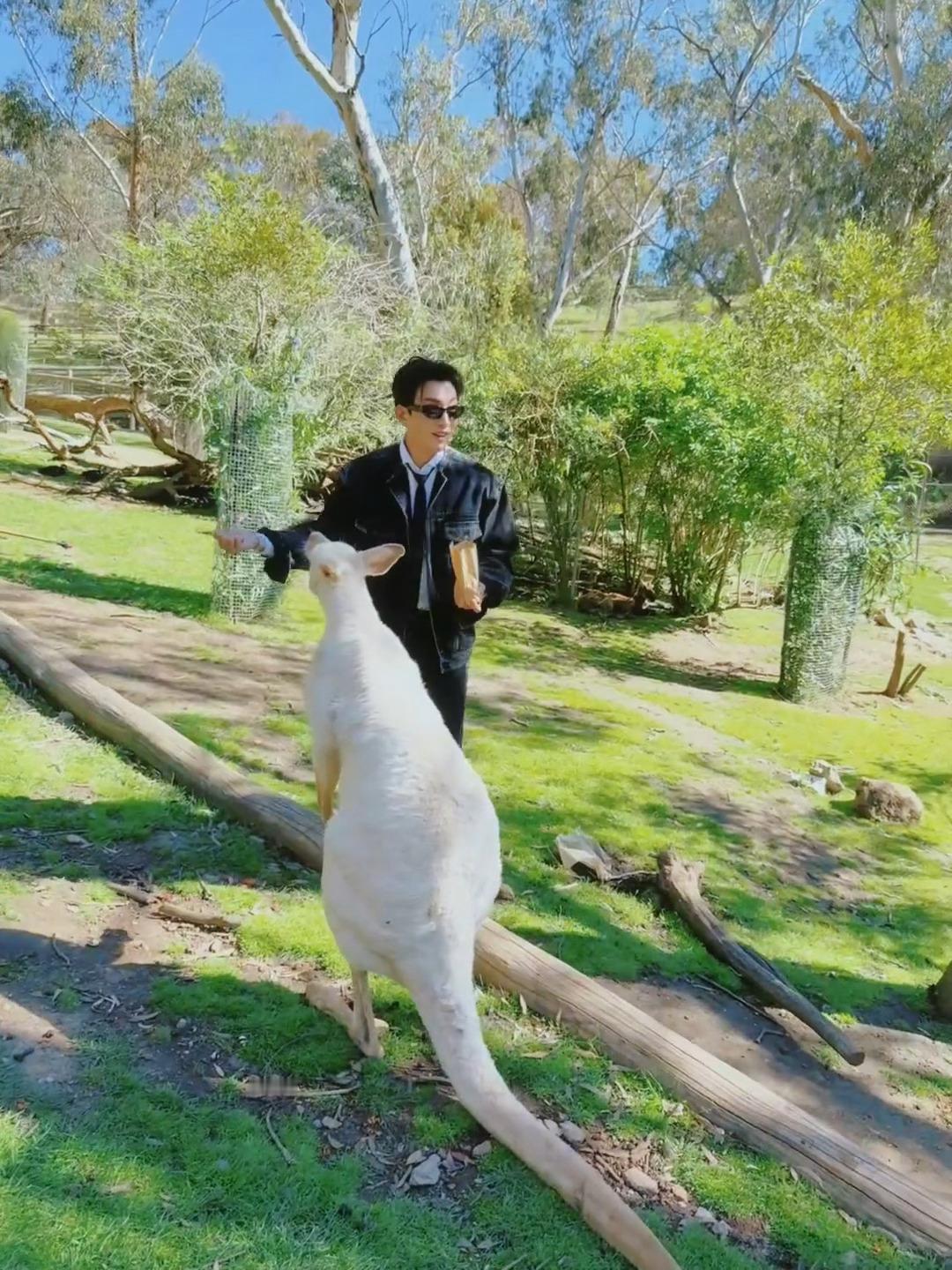 哦哟太可爱了哟