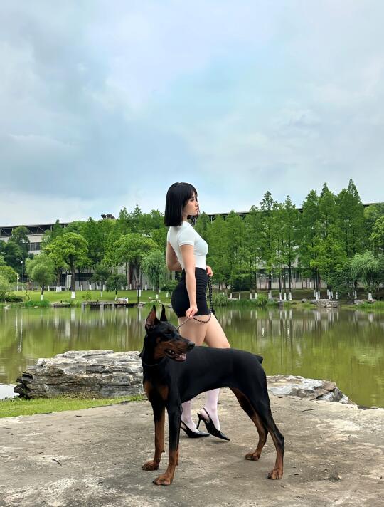 不健身的日子