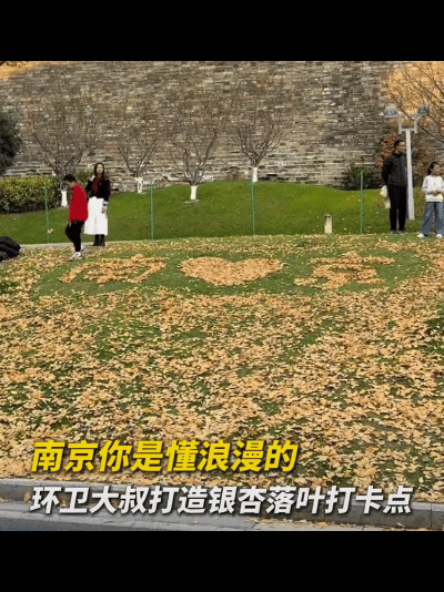 江苏南京，一位环卫大爷火了，他看着草地上掉落的银杏叶，又看看时不时来这打卡的游客