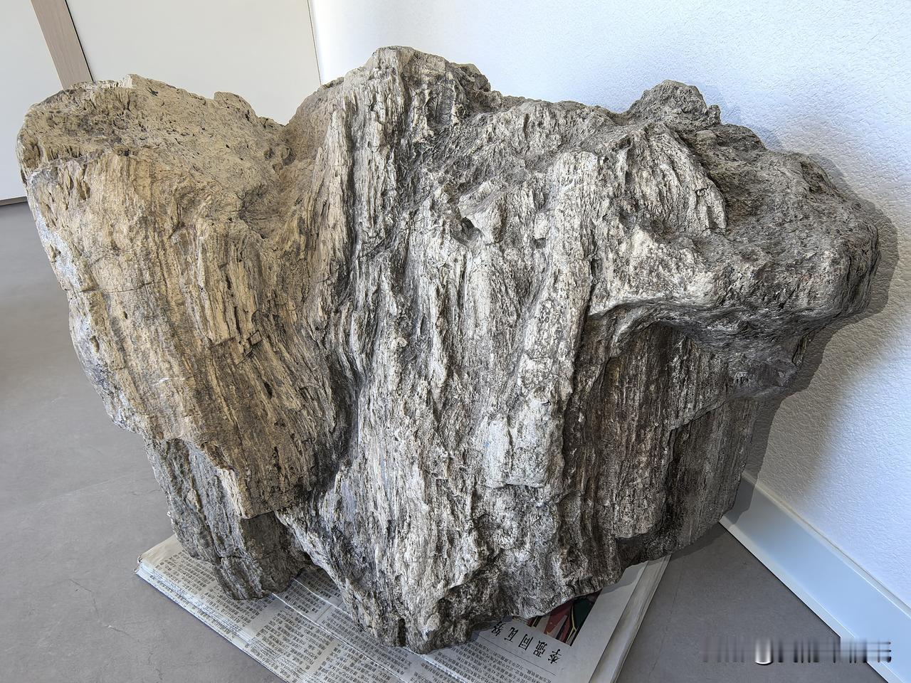 家中有块硅化木化石，存放好多年了！有人说有这种化石有辐射，吓了一跳。连忙查了许多