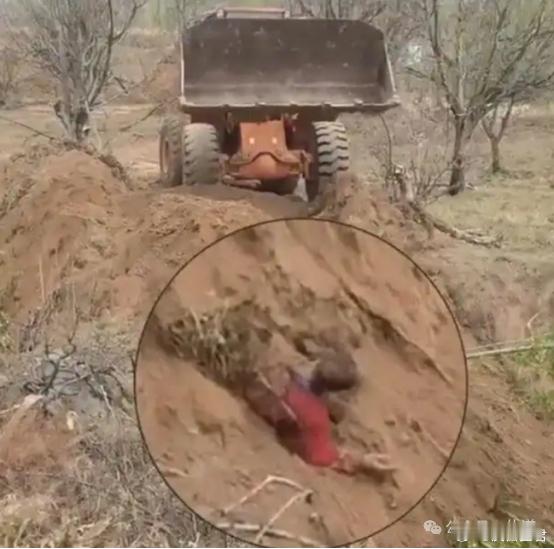 震惊：开铲车活埋村民，更多内幕曝光！真没想到，在当今的法治社会，在光天化日之下，