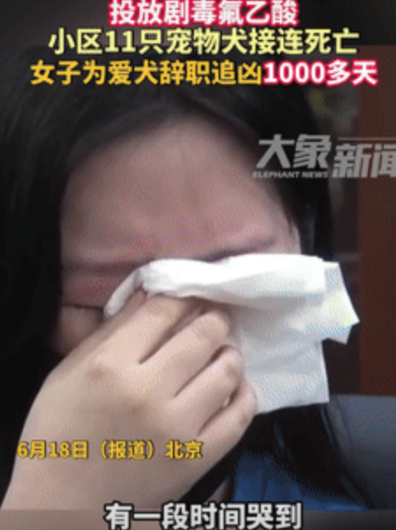 北京，一大爷讨厌别人家的狗经常在他的车上撒尿，就做出极端行为，导致女子的爱犬去世