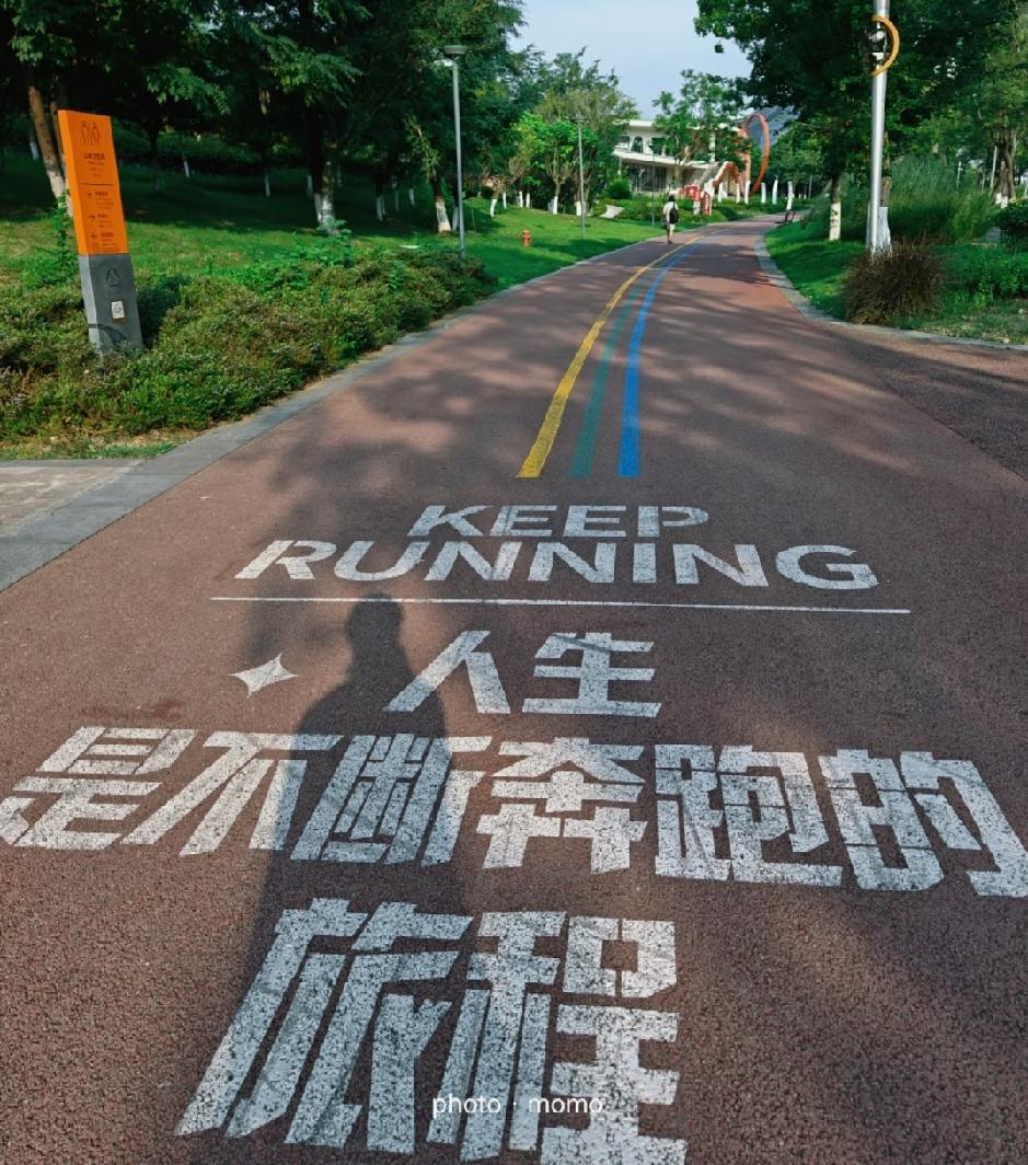 丢脸了，跑步十几年，发现跑了个最大的错误跑步十几年了，几乎都是一个人在跑，也没