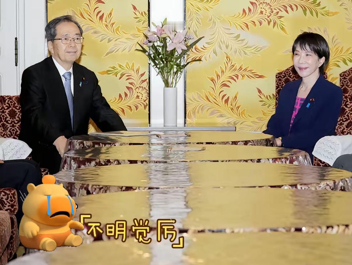 快报！快报！日本自民党正式宣布了日本政坛最近有点动静，自民党新总裁高市早苗