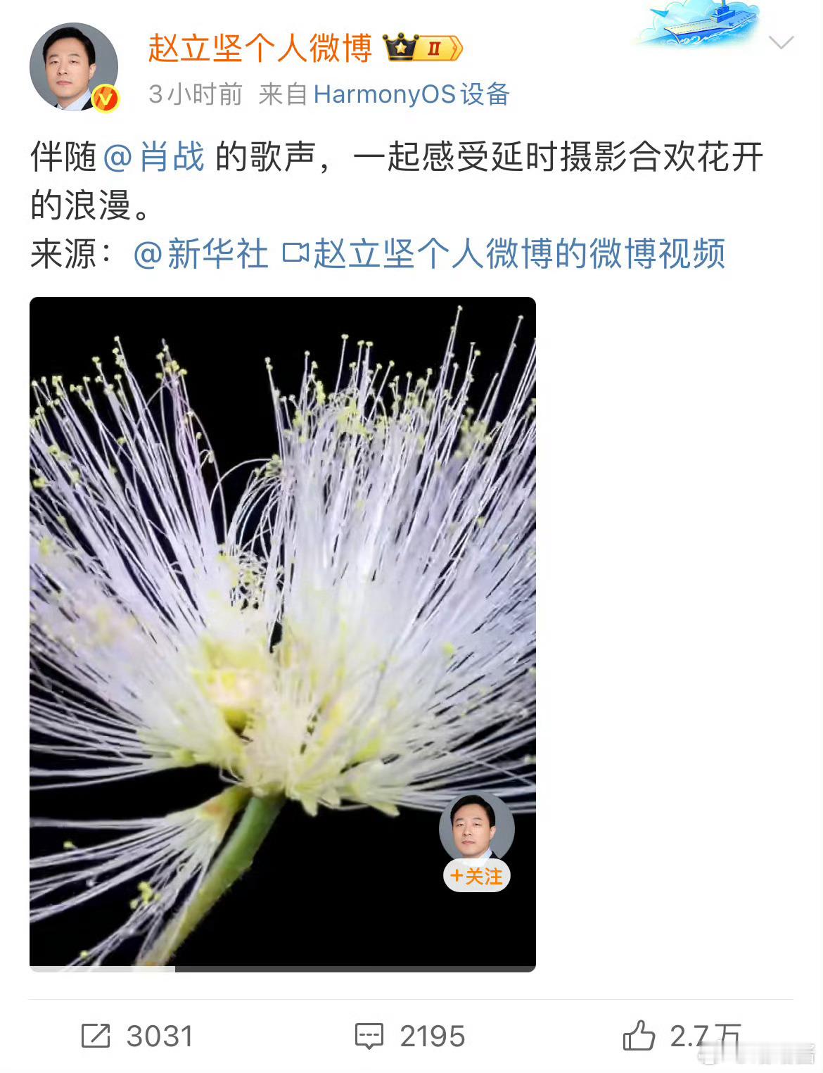 赵立坚发了肖战以后没有官方认可，不能轻易碰瓷《藏海传》了，肖战自此飞升成功[鼓