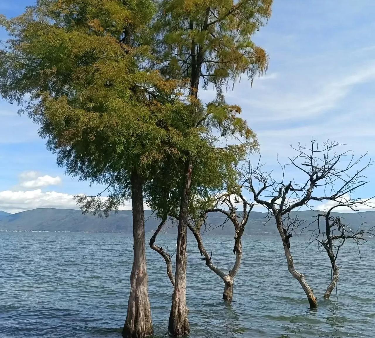 人内在的感受，永远与自身的能量息息相关，很多时候，情绪不稳，并非脾气坏，而只是能