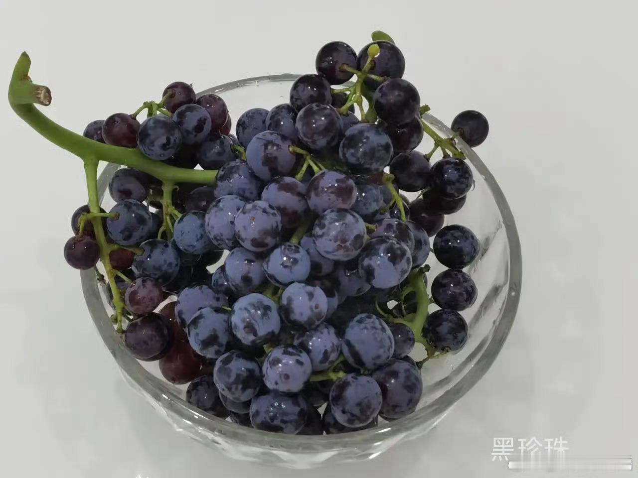巨峰葡萄白月光，这种葡萄是我小时候最爱吃的，也是我目前的白月光是有那种葡萄味的