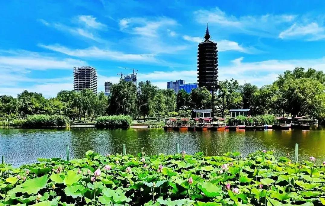 北京通州西海子公园的夏日风光位于北京京杭大运河北端西侧的西海子公园，始建于19