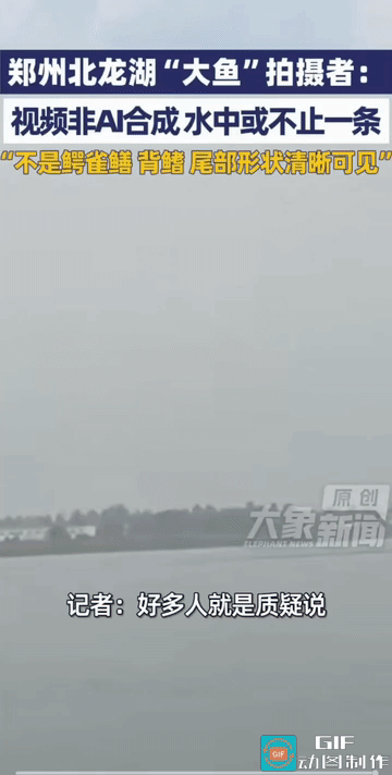 不知道湖是人工湖还是自然湖？从视频上看，这鱼有三米长的样子，目测也有四百来斤。人