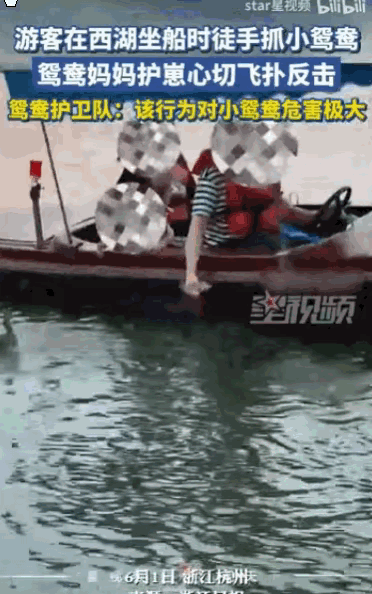 “这种人就应该拉黑！”浙江杭州，一名游客在船上，光天化日之下，竟然伸手把一只还没