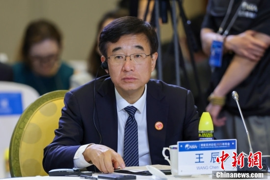 王辰被免去中国工程院副院长职务（中新网）挺可惜的，哎！做到院士，副院长，无论从专