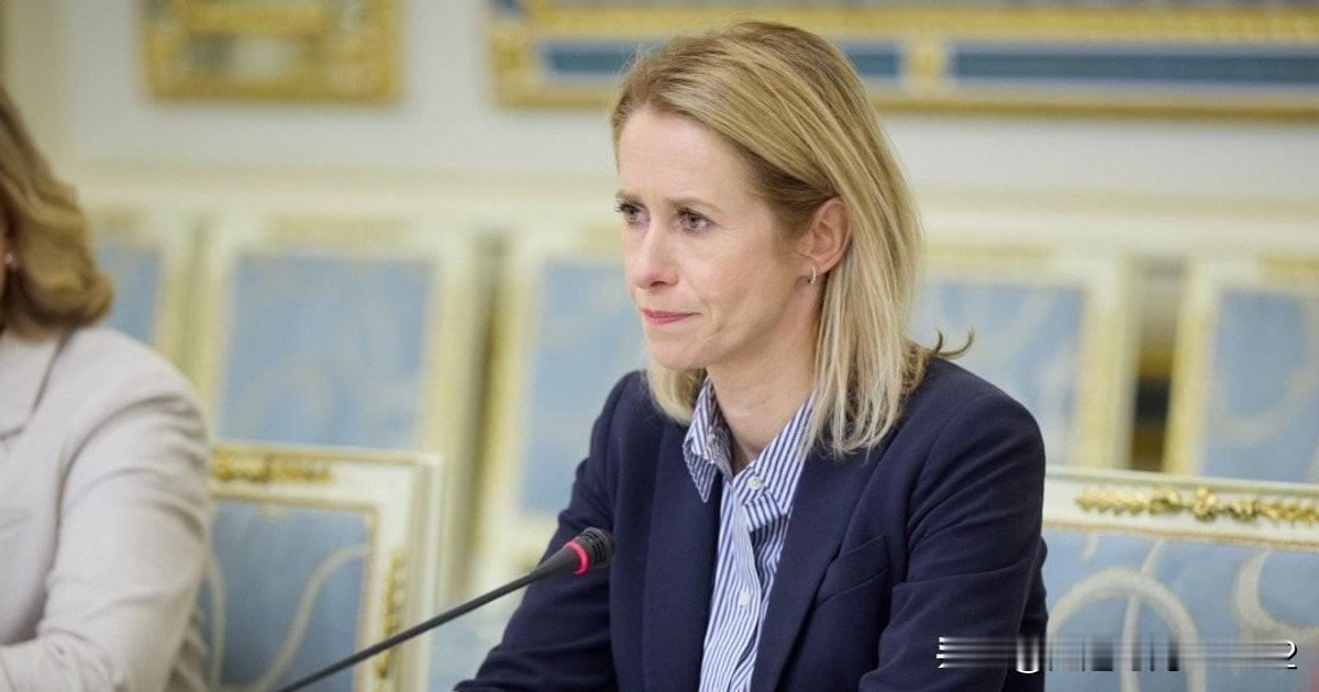 欧盟评论，特朗普对乌克兰领土让步的立场欧盟坚决驳回了美国总统特朗普的立场，