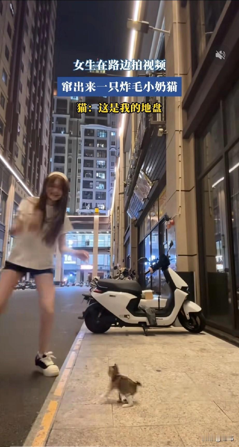 太可爱了，这天夜里一位小姐姐去逛街，当她走到一个街角的时候，觉得风景挺好的，就准