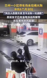 “必须严惩！”近日甘肃兰州，三名女子经过地下停车场时，突然，一只白色贵宾犬冲了过