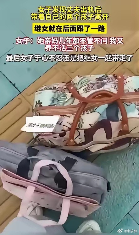 一位母亲在撞破丈夫背叛的事实后，毅然决定带着亲生的两个孩子离开这个破碎的家，可未