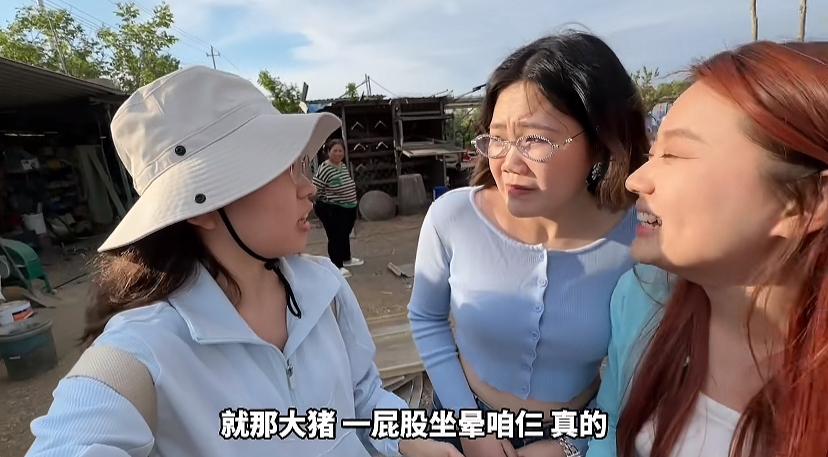 “摸鱼三贱客”去养殖场抓猪崽了，那猪崽跑的速度堪比小妍给猪起的名字“法拉利”，老
