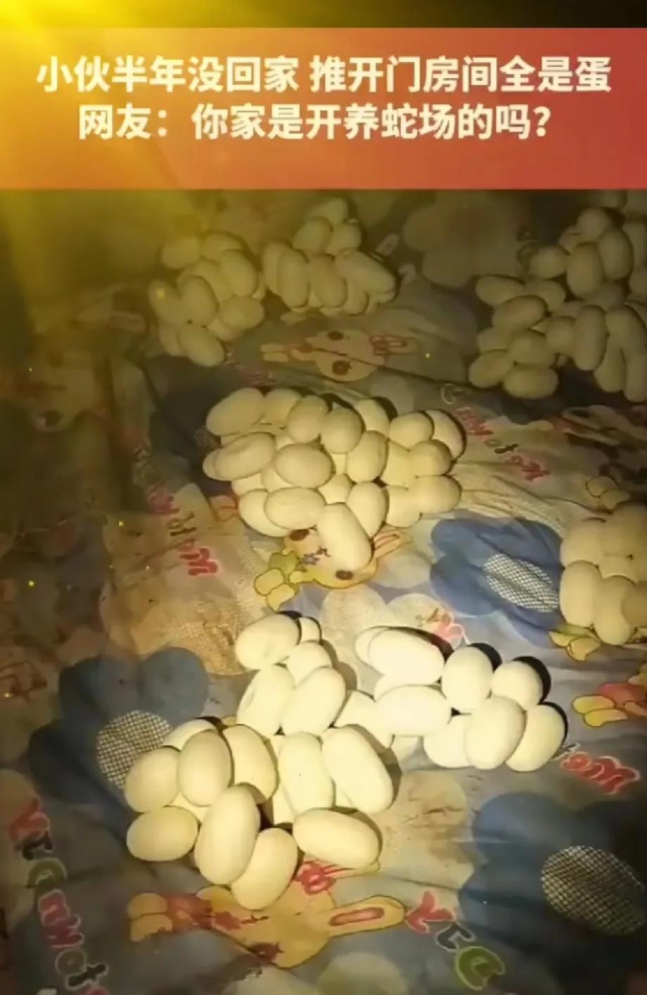 吓哭了！6月12日，江西一小伙整整半年没有回过家，最近，他返回自己久无人居的住处