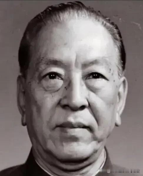 1969年耿飚实地探访，看清对外援助真相，国人勒紧裤腰带却被如此浪费196