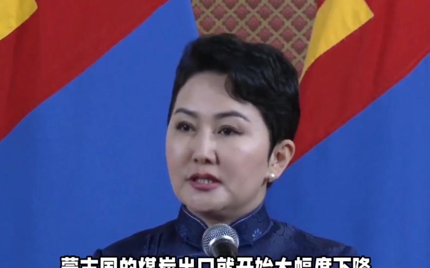蒙古女外长巴特策策格的奇葩言论，彻底让蒙古经济疼了一次！从2025年1月到5月的