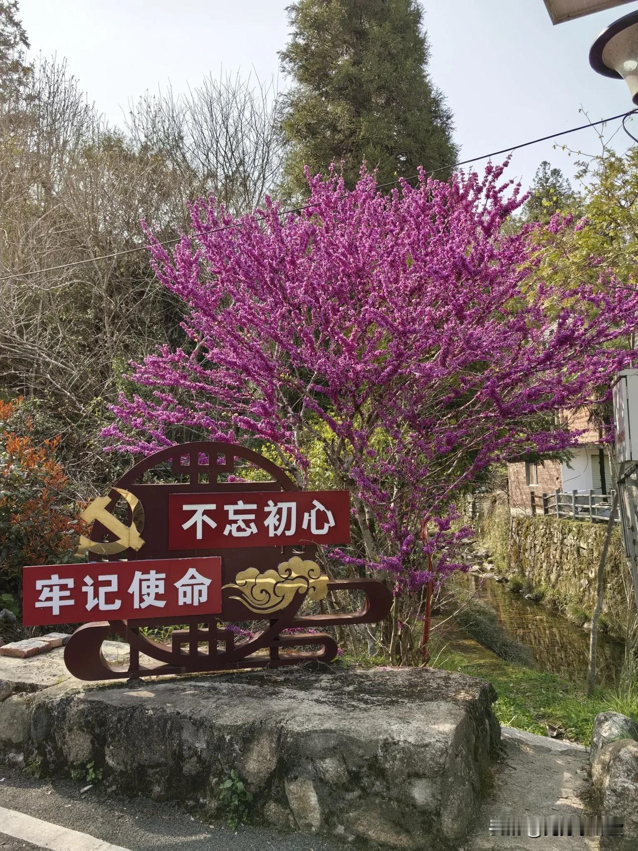 很多人贪污受贿的时候总是带有侥幸的心理，殊不知，要想人不知，除非己莫为。在反腐像