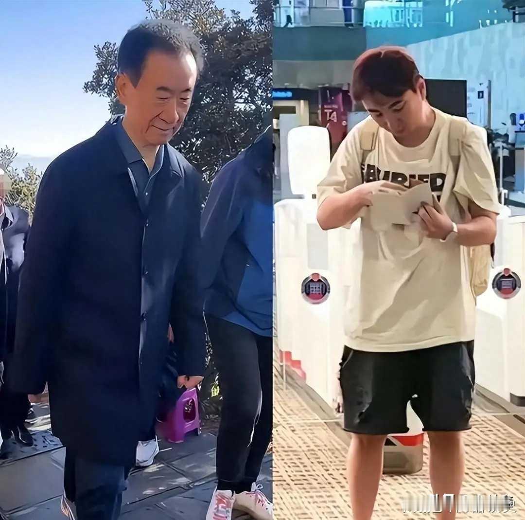 800亿灰飞烟灭，王思聪丑闻再曝光：特权的代价曾几何时，他是互联网上最风光的