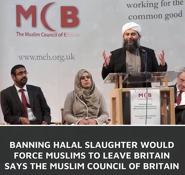 英国：真有这好事？在英国的穆斯林委员会警告称，英国如果真的执行清真宰禁令，那么
