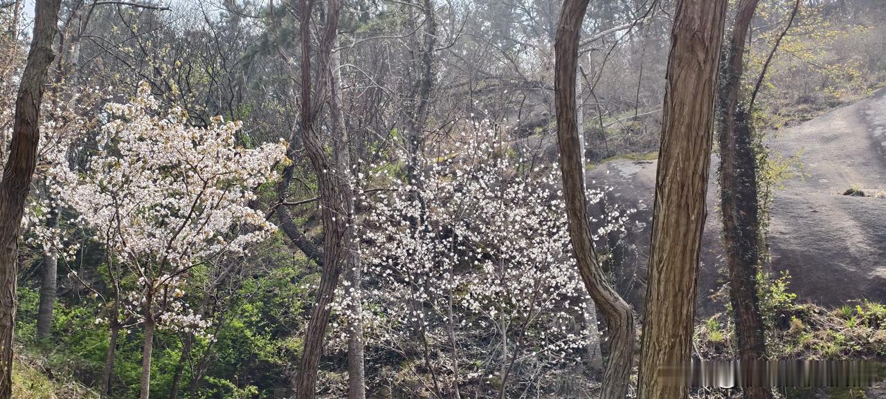 上班8年才明白：领导记不住干活最快的人，只记得住会敬酒的人我前同事小赵，部门里