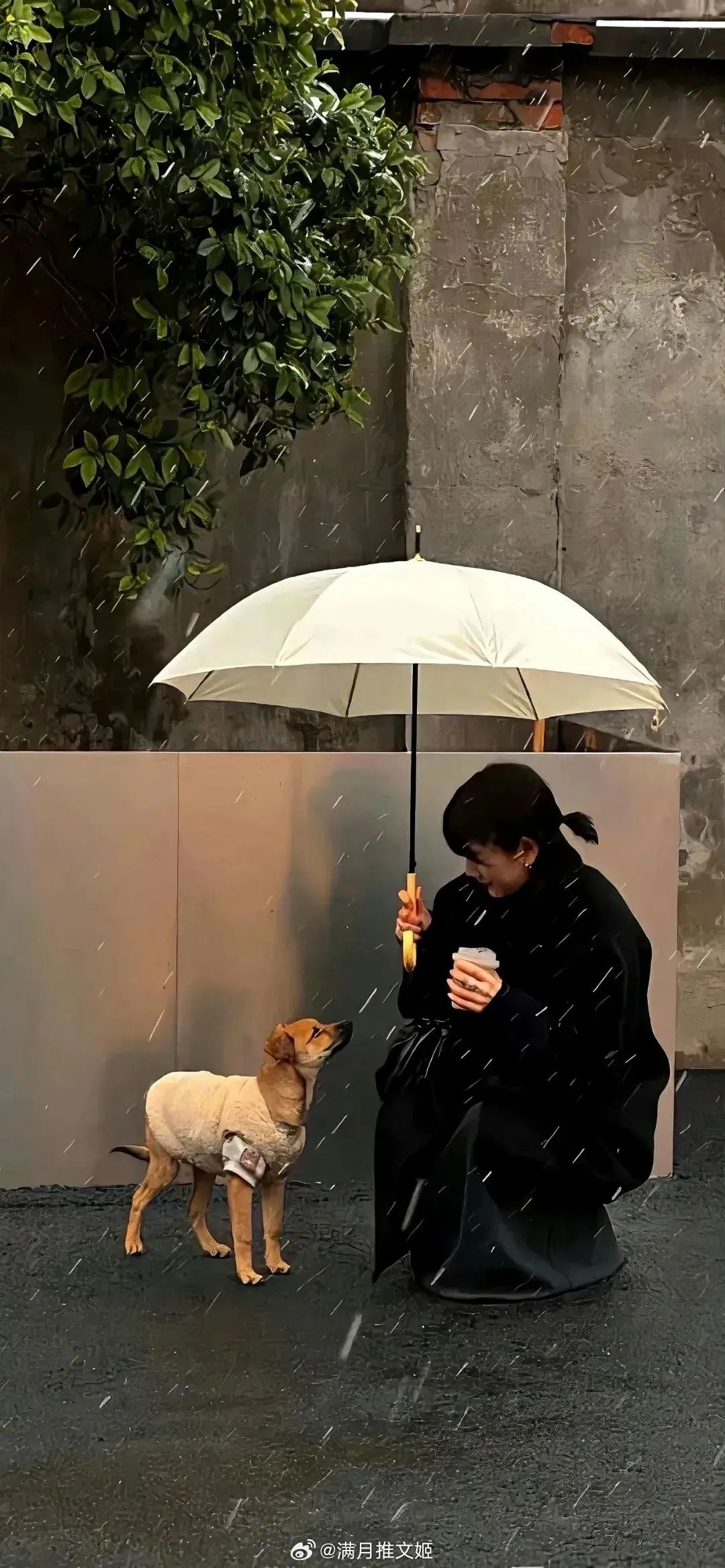 “时间果然是最好的疗伤药。不论当初如何痛到骨子里，都能轻描淡写地把伤痕抹平。”—