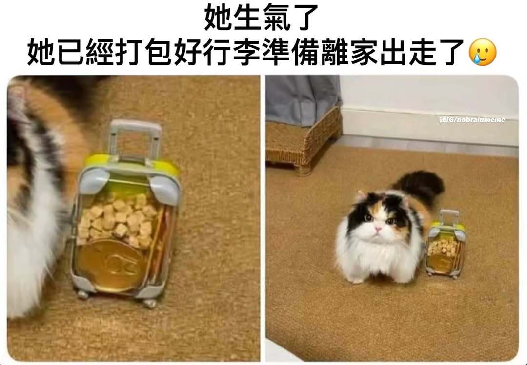 🤣​​​