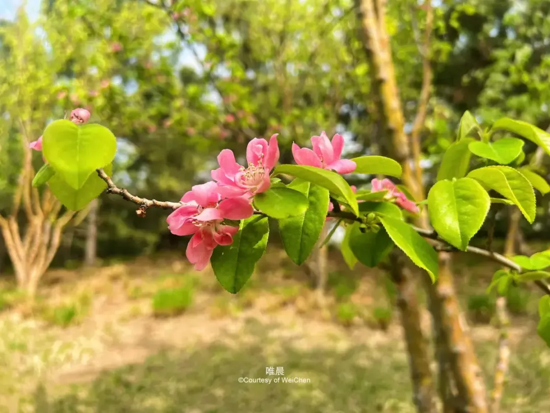 将家中打扫得很干净的人, 往往有这4种福气, 超准!