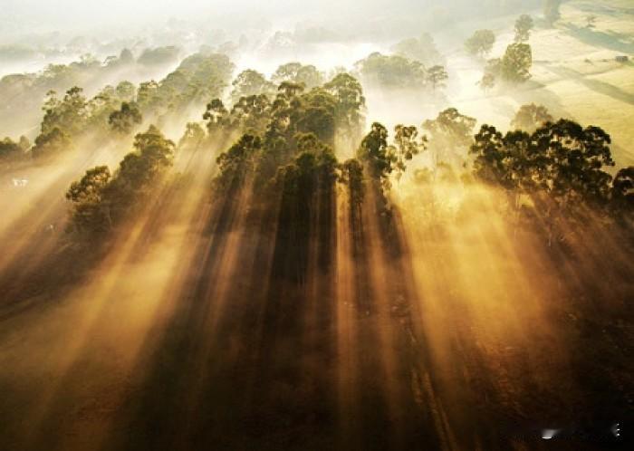 自从负债逾期以后，所有的生活方式全部被打乱了！彻底不敢消费了！彻底回到了现金