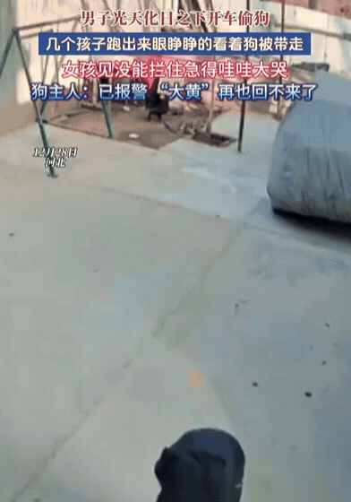 “必须严惩！”河北一男子开车时，看见路边有条大狗，竟然趁主人不注意，光天化日之下