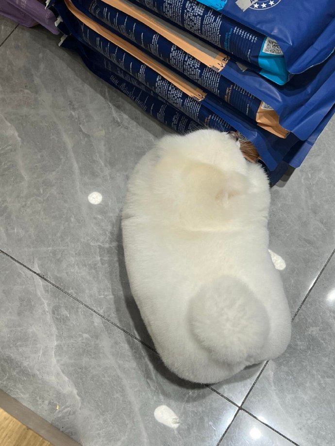 遇到一辆小狗面包车～