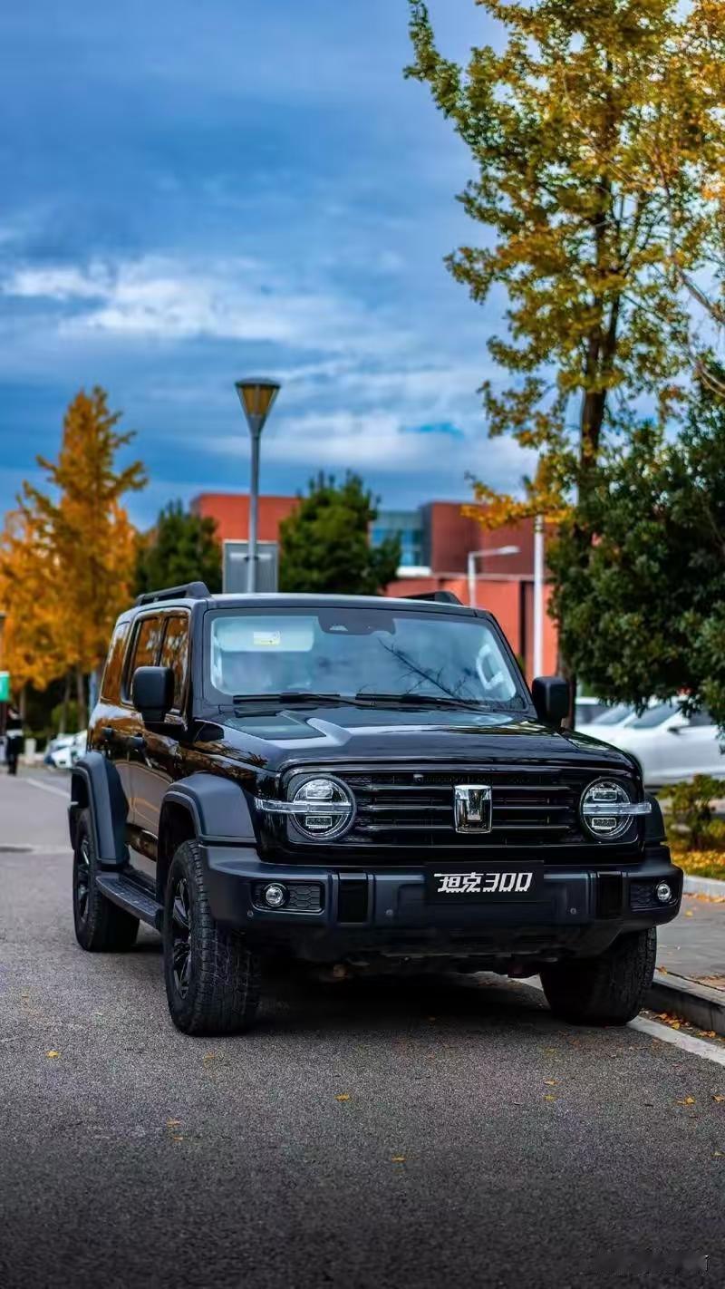 魏建军赌对了，他放下一切全力研究越野品牌，现在总算结出了累累硕果。长城汽车一开