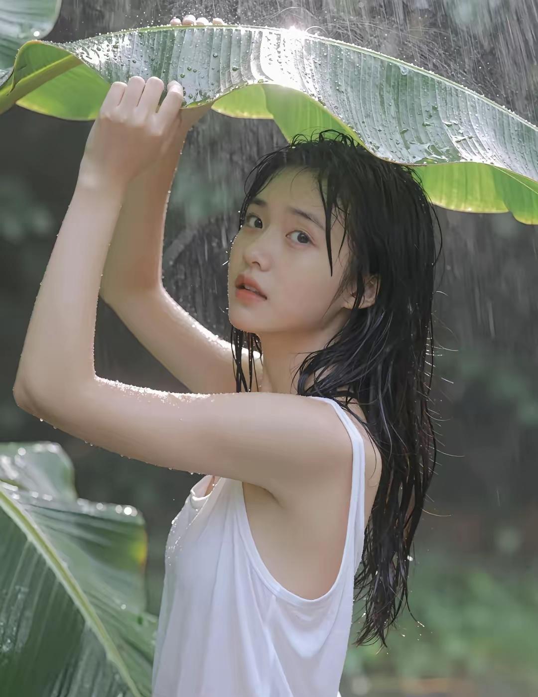 雨中青衫湿，风里翠叶摇。