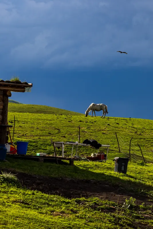 【别再试探人心了！懂得这些，生活会轻松很多】在现代社会中，人际关系...