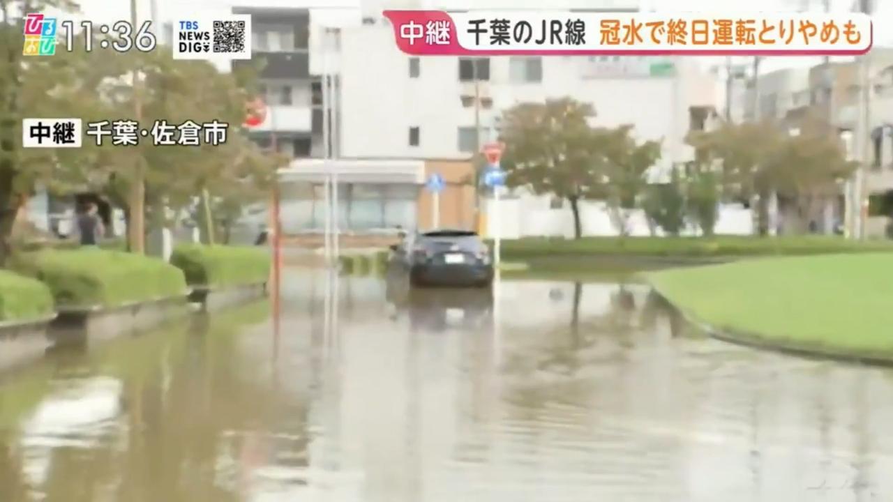 近日，日本TBS新闻节目在千叶县佐仓市进行灾情直播，正好拍到一位女子涉水路过，她