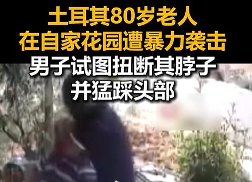 “这谁看了不傻眼？”7月30日，土耳其开塞利省，80岁大爷在自家花园晒太阳，突然