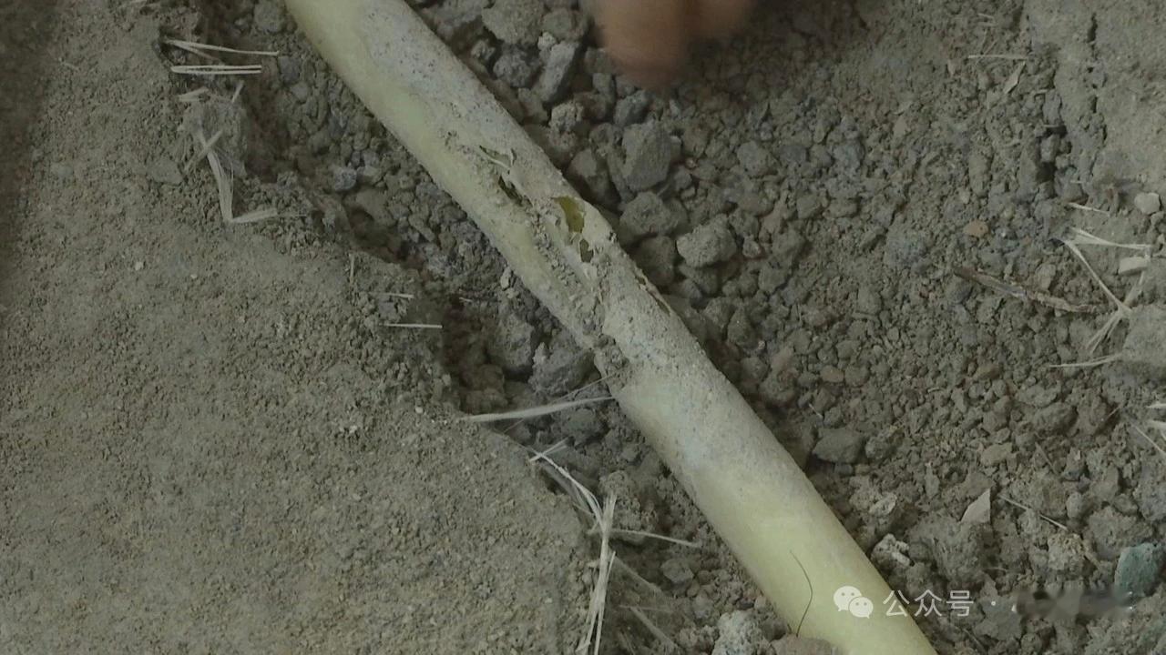 供暖季家里成喷泉，地暖管道出现大缺口！2025年11月初，山东东营融创滨江壹