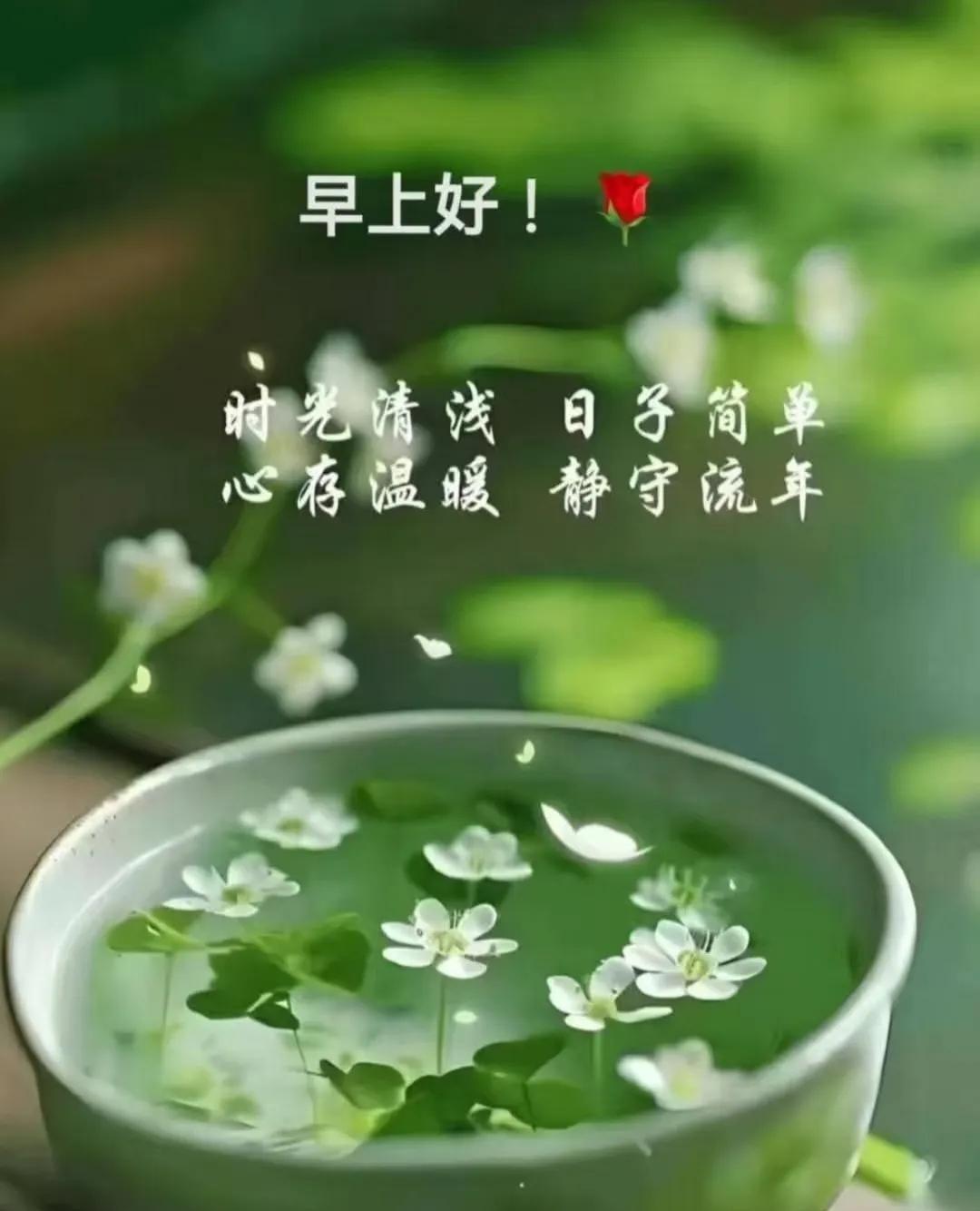 早上好，今天是7月1日星期二。一组排球方面的综合消息：①中国男排在世联赛芝加