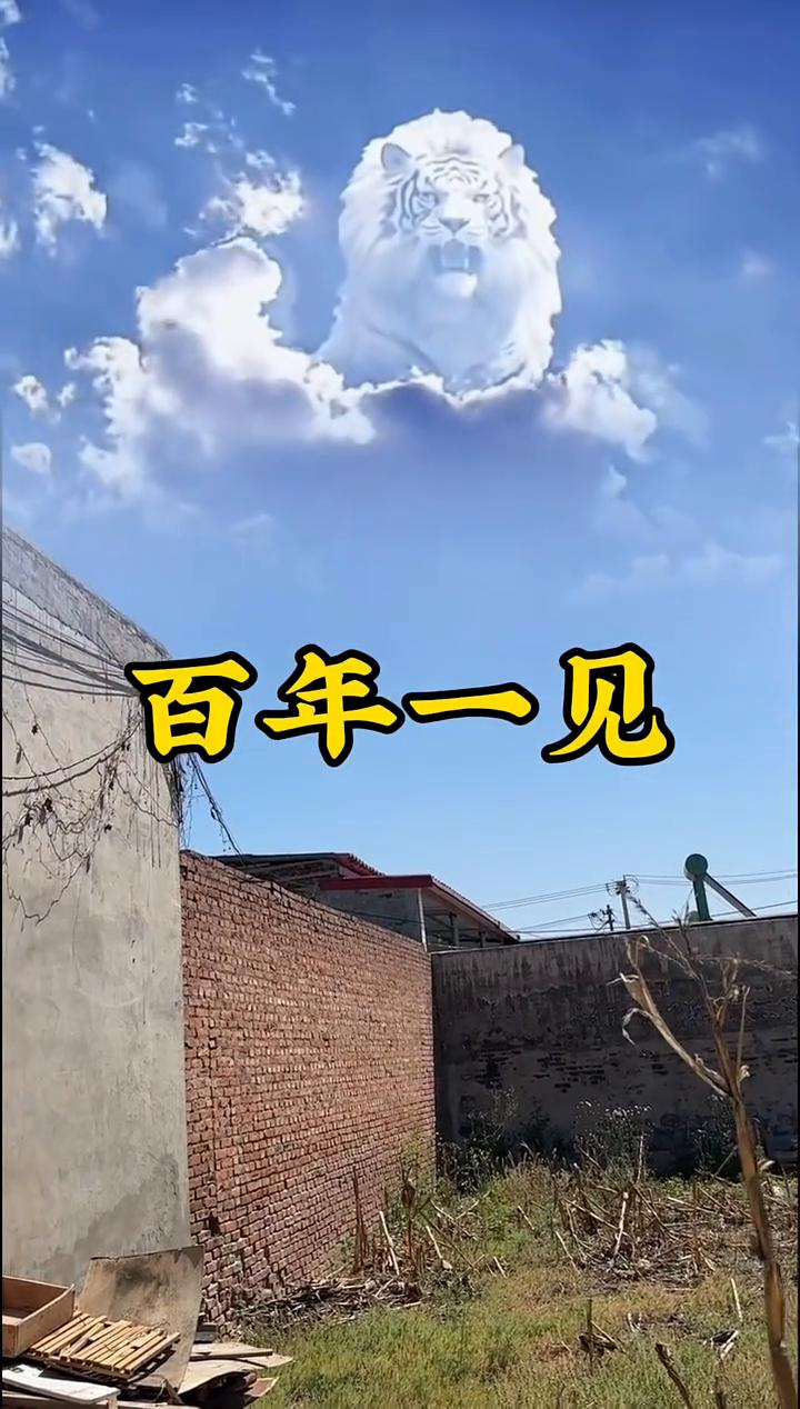 百年一见。