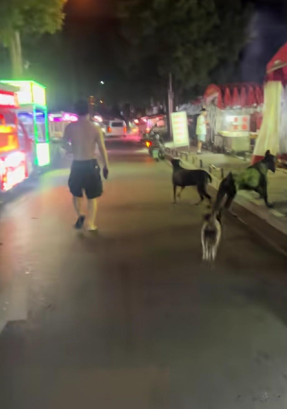 男子当街遛三条未拴绳禁养犬，被众多网友指责人仗狗势！5月24日晚上，有网友发