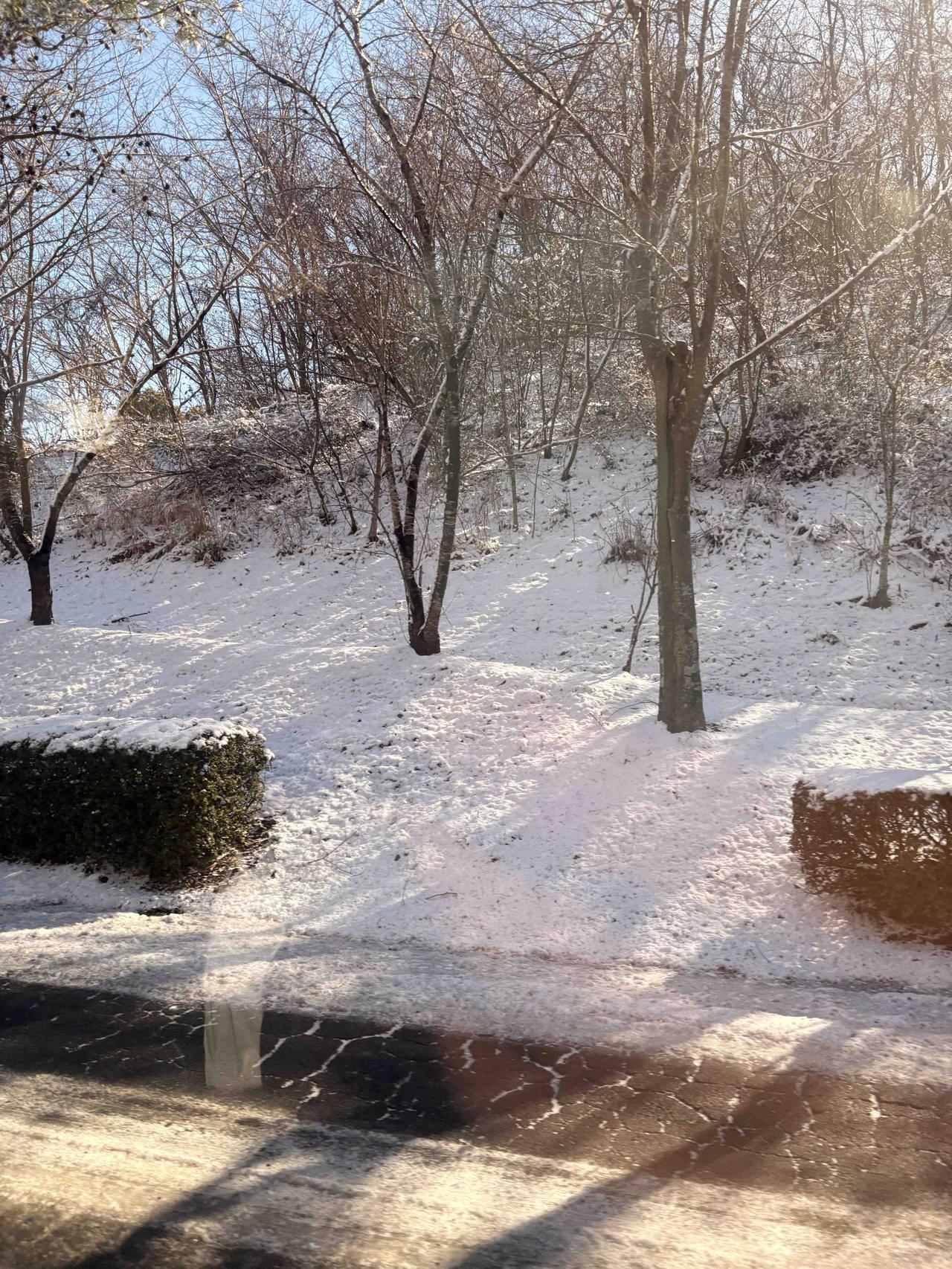 你还别说，今年回老家的时候，真的遇到了隔壁邻居去相亲一个二婚的，对方要彩礼18万