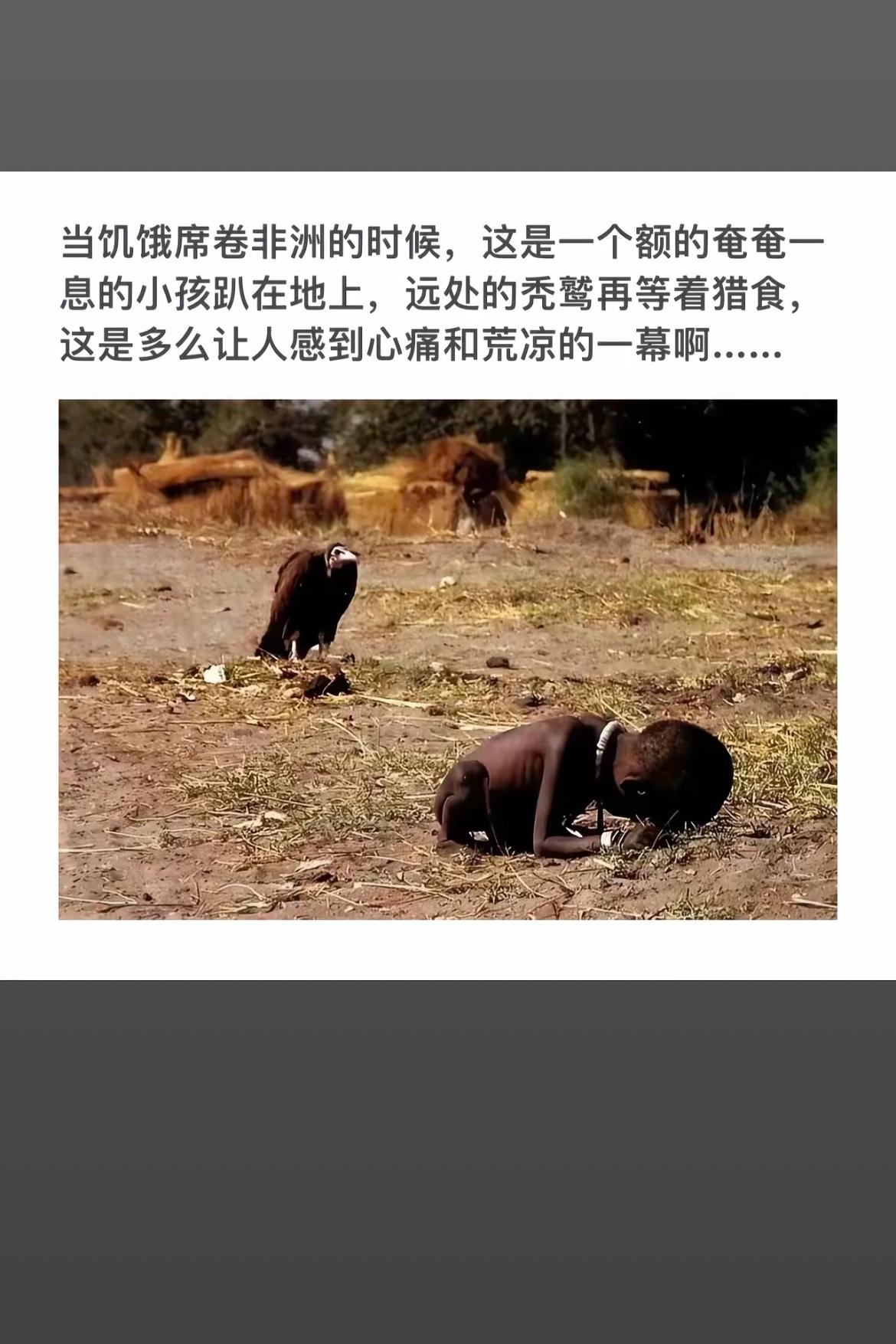 非洲饥荒的残酷现实：饥饿的孩子与秃鹫的等待