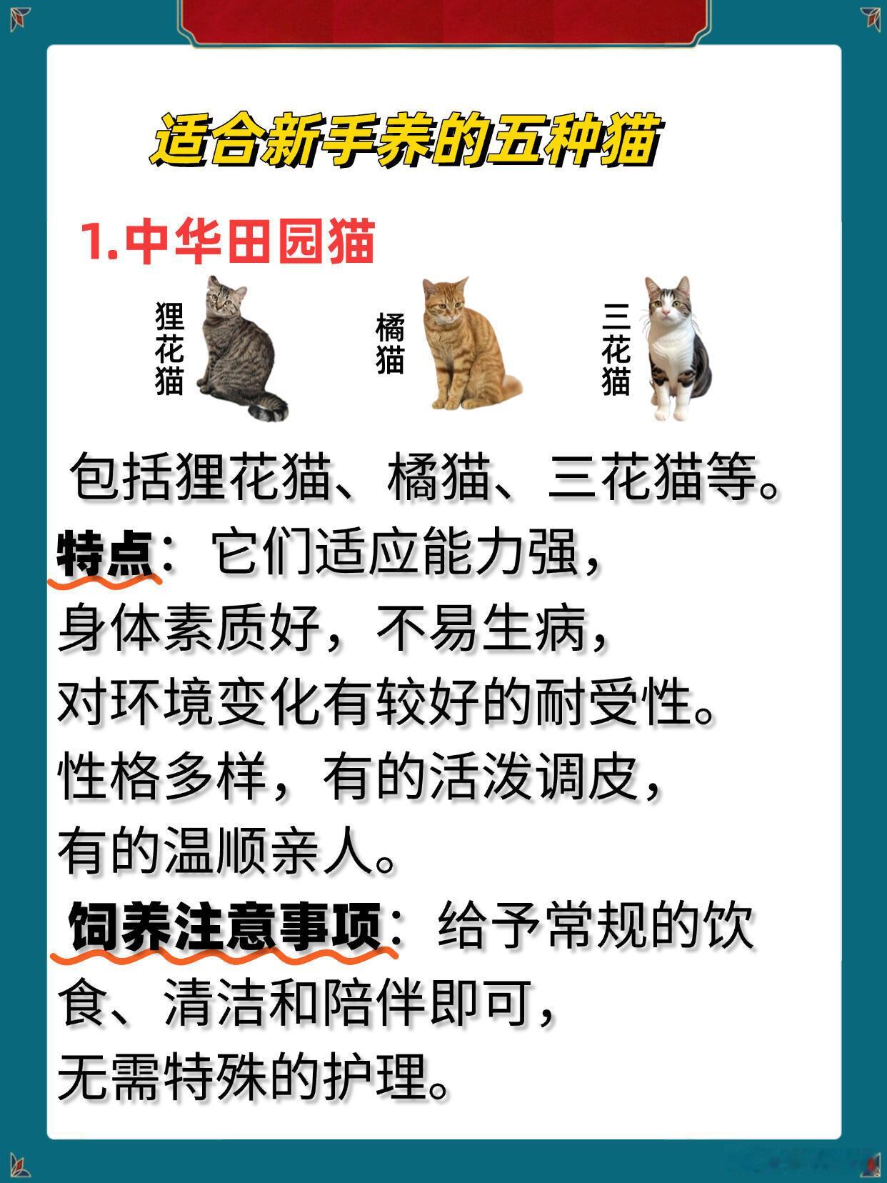适合新手养的五种猫对于准备踏入铲屎官门槛的新手来说，选择哪种猫咪可是个大学