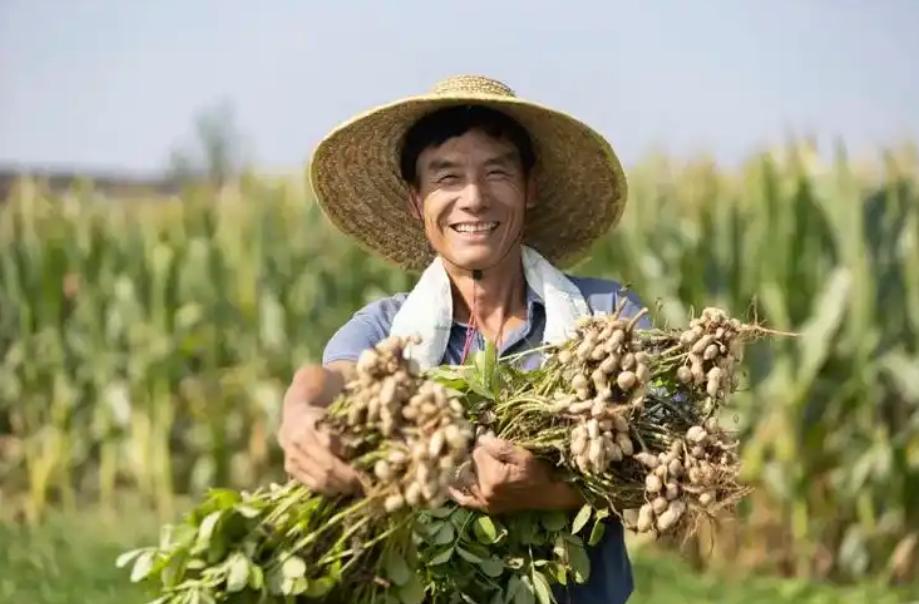 真让人唏嘘！农民代表为农村老人争取养老金待遇，却引发巨大争议。过去交公粮、出义务