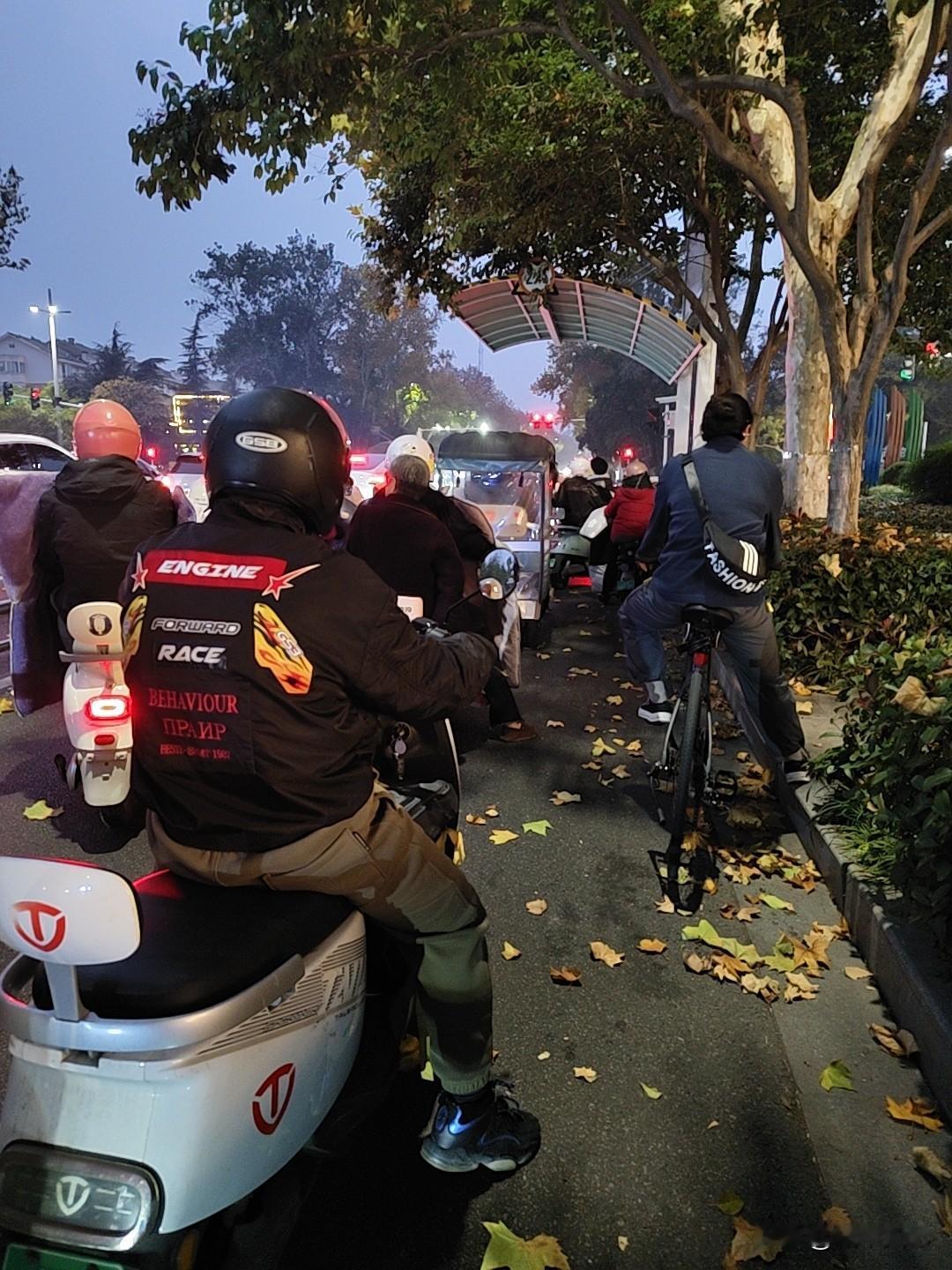 晒图笔记大赛宿迁大风降温，你看树叶掉太多了，还堵车。