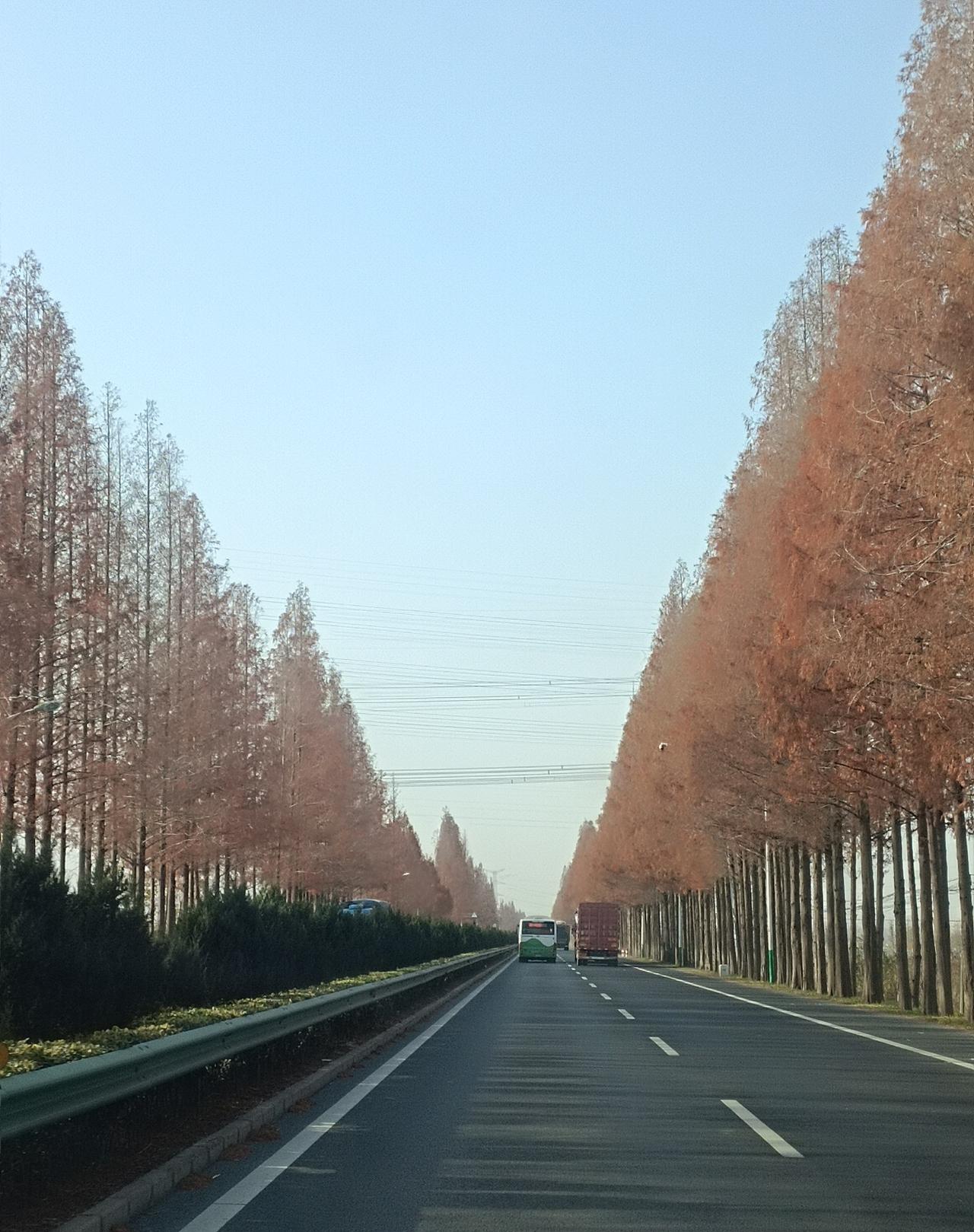 下联：夏雨润绿竹。试对上联冬雪压红梅！友友们，这个对联对的还算工整不！