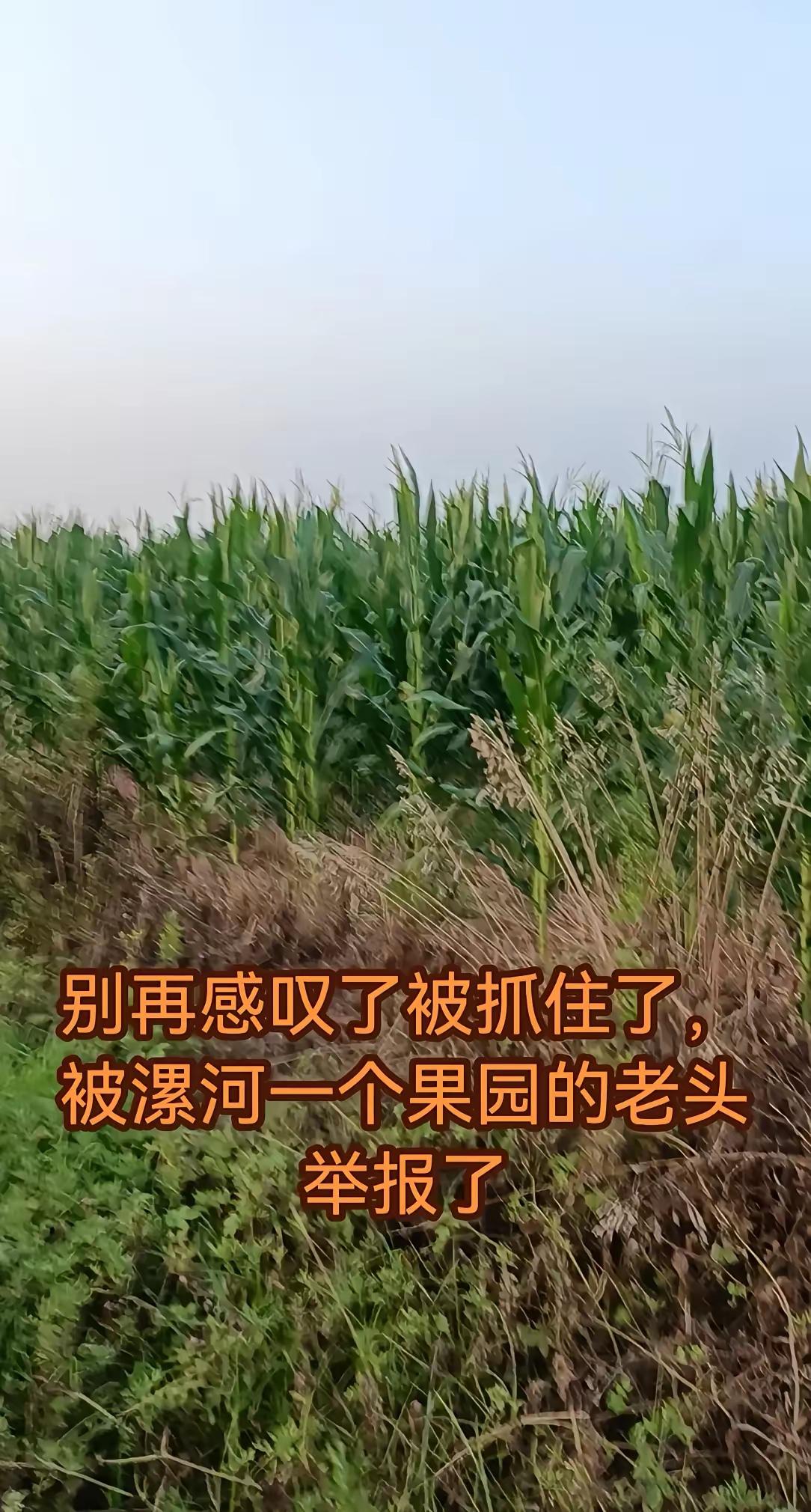 夏付刚后续：潜逃十日的夏付刚终究没能逃过抓捕，谁也没想到落网的契机，只是