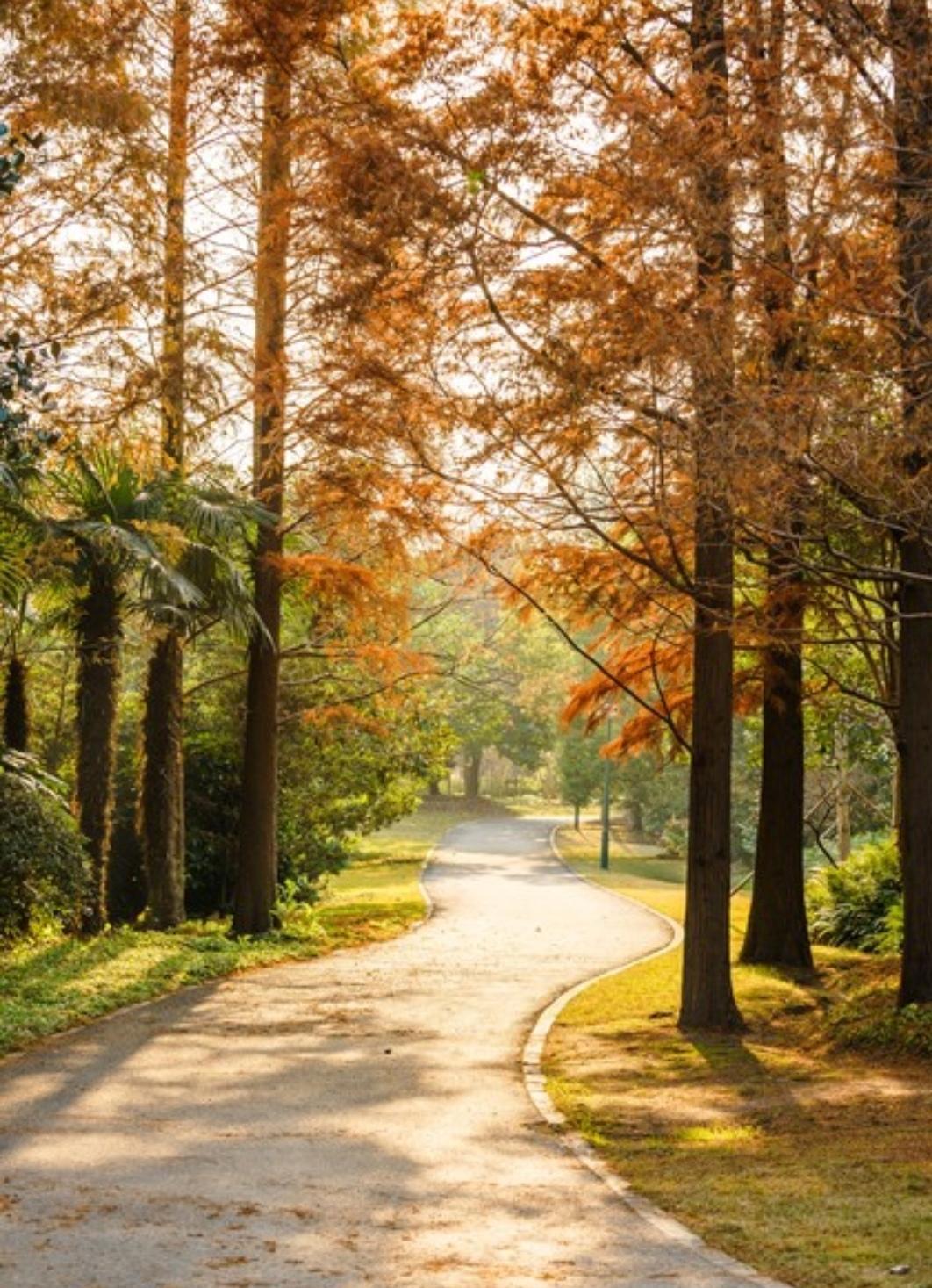 活了半辈子才明白，人啊，该闭嘴的时候要懂得闭嘴。一、喜事，别在亲戚朋友面前炫耀发
